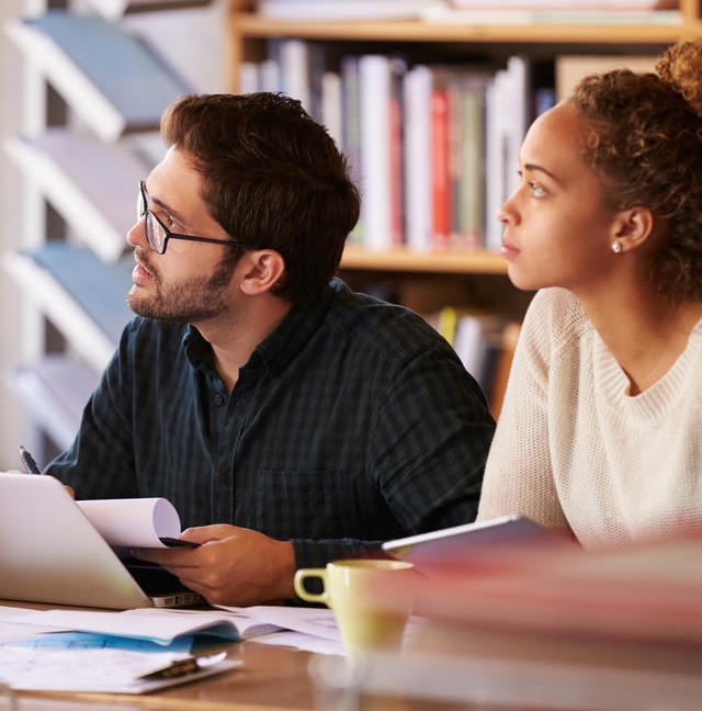 Business Families Features & Insights