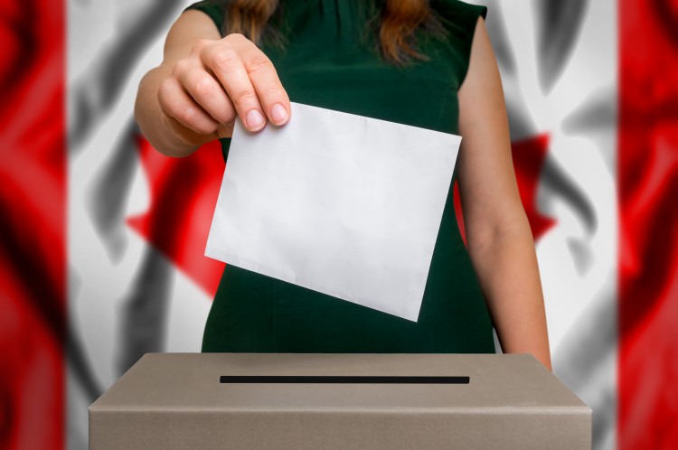 werner-electoral-banner.jpeg