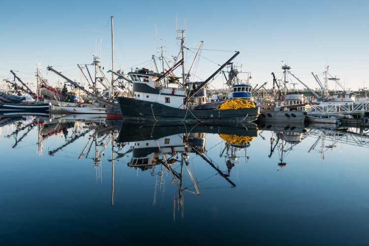 fishing-subsidies-banner.jpeg