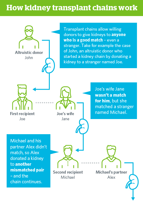 Kidney transplant chain infographic